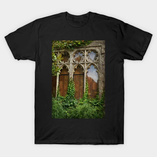 Grungy Window T-Shirt by AlexaZari